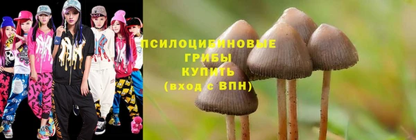 не бодяженный Тобольск