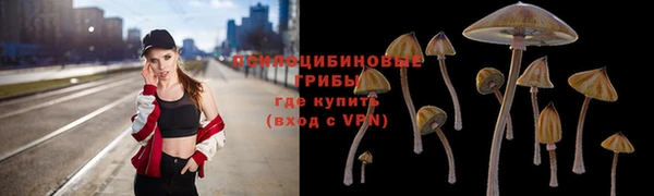 не бодяженный Тобольск