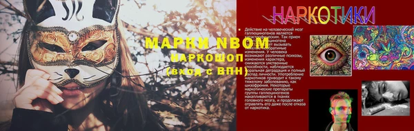шишки Тихвин