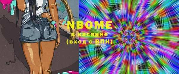 шишки Тихвин