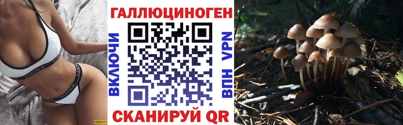 Галлюциногенные грибы Cubensis  Купить где  Барыш 